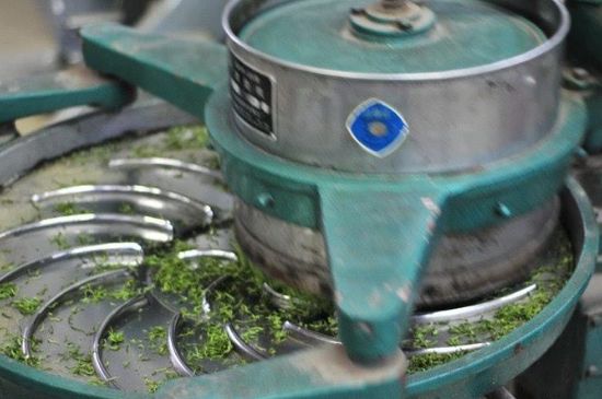 武夷巖茶的初制、精制加工工藝詳細(xì)講解