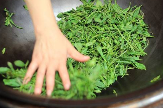 炒青綠茶與綠茶的區(qū)別，烘青和炒青哪個(gè)好喝？