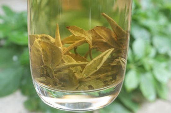 茉莉龍珠泡開后為什么都是梗，茉莉龍珠泡開后什么樣？