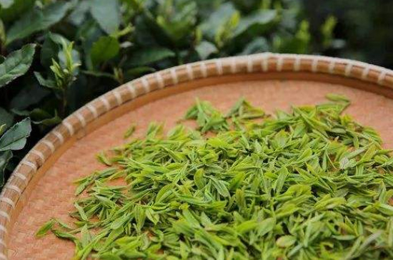 炒青綠茶與綠茶的區(qū)別，烘青和炒青哪個(gè)好喝？