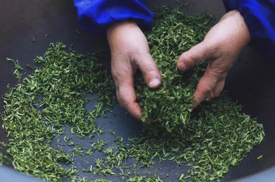 自家炒茶葉怎么炒，自己炒茶葉的步驟