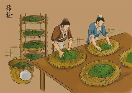 制茶八步驟，制茶工藝流程圖