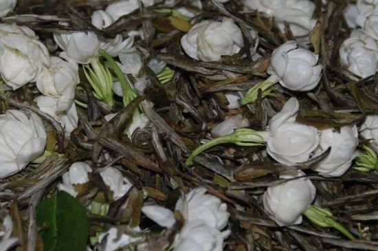 茉莉龍珠怎么做的，茉莉龍珠的制作工藝