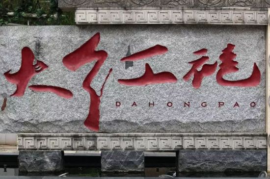 母樹大紅袍給誰喝了，為什么母樹大紅袍叫三棵六株？