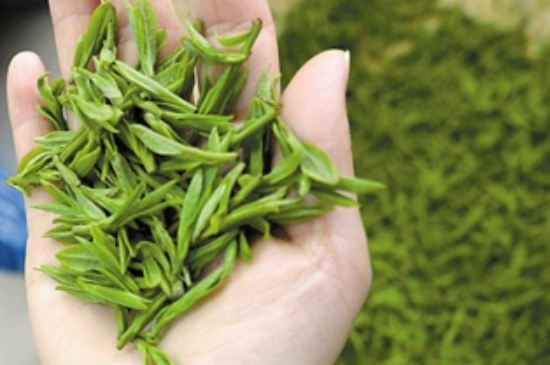 潮汕炒茶屬于什么茶，潮汕炒茶是綠茶嗎？