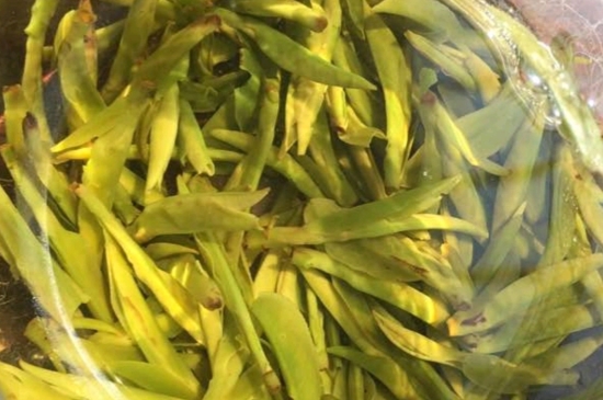 龍井是明前的好還是雨前的好，明前茶和雨前茶哪個(gè)好喝？
