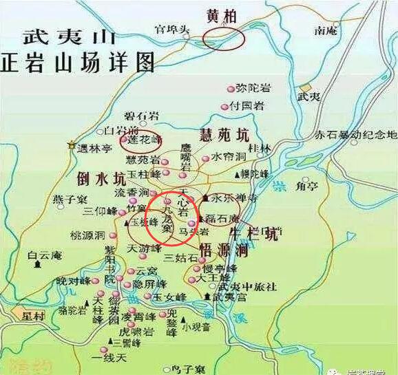 母樹大紅袍給誰喝了，為什么母樹大紅袍叫三棵六株？