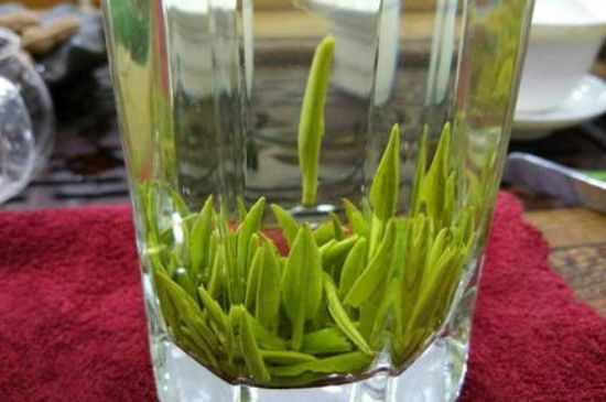 雀舌有一股青草味，雀舌為什么有青草味？