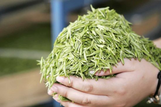 高山云霧茶屬于什么茶，高山云霧茶哪里的最好