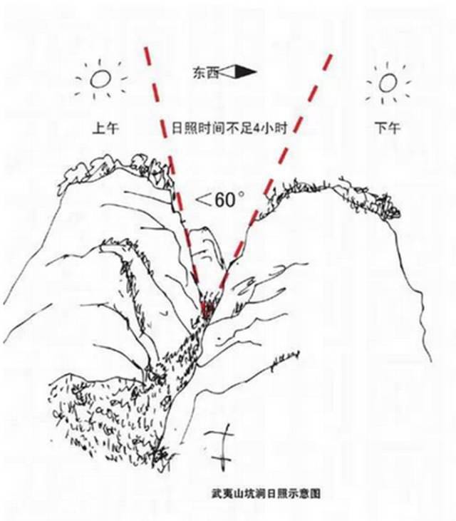 武夷山為什么盛產(chǎn)茶葉，武夷山茶為什么好喝？