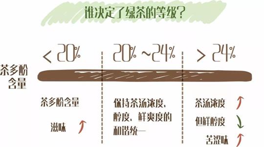 什么綠茶口味重口感濃郁，口味比較重的綠茶都有那些？