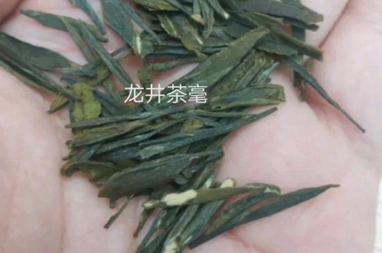 西湖龍井茶毫和發(fā)霉區(qū)別圖片，長霉的龍井茶葉會是什么樣？