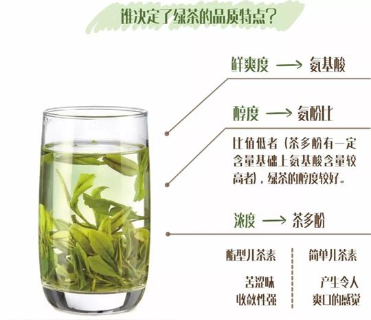 什么綠茶口味重口感濃郁，口味比較重的綠茶都有那些？
