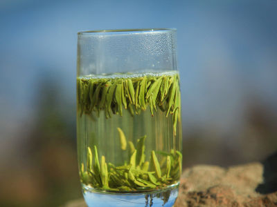 竹葉青茶怎么樣，檔次較高味道略苦價格比較貴