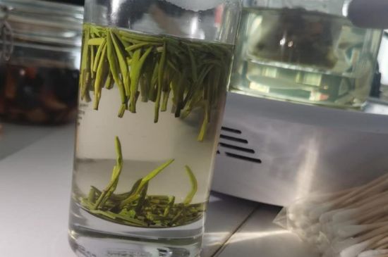 金壇雀舌算不算好茶，金壇雀舌屬于什么檔次茶葉？