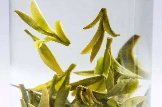 烏牛早和龍井的區(qū)別圖片，龍井43號和烏牛早茶的對比