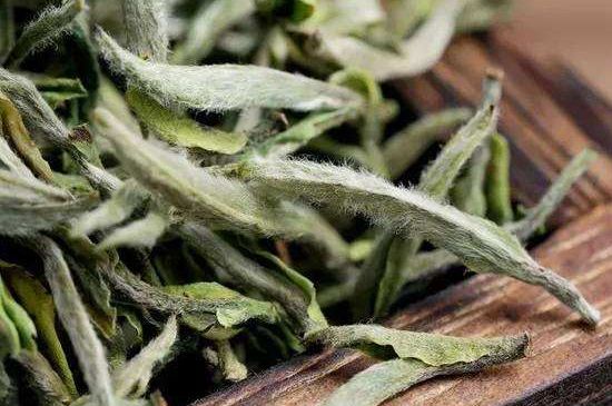 荒野銀針有什么特點，荒野銀針的味道口感咋樣？