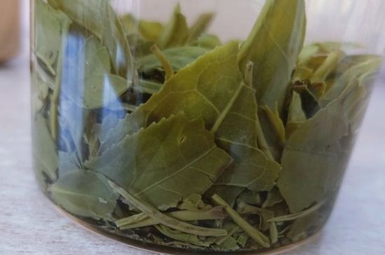 綠茶陳茶和新茶區(qū)別，綠茶怎樣區(qū)分新茶和陳茶