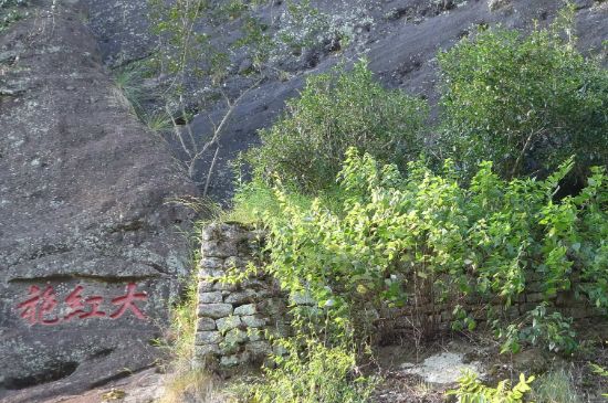 母樹大紅袍給誰喝了，為什么母樹大紅袍叫三棵六株？
