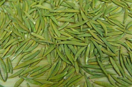 竹葉青和毛尖的區(qū)別，毛尖和竹葉青怎么分辨？