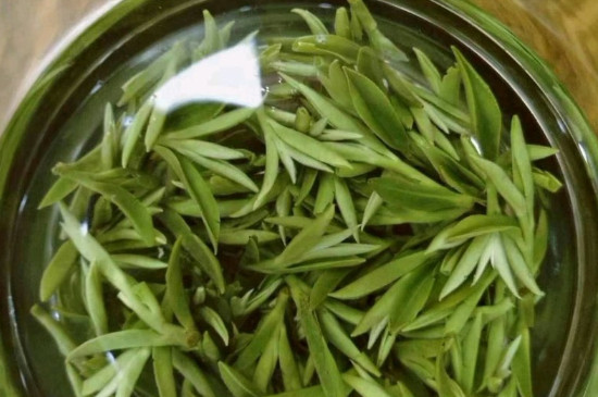 什么綠茶茶葉唇齒留香，哪個品種綠茶香氣好？