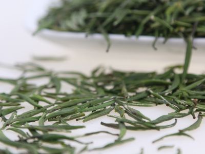 霍山黃芽算是好茶嗎，霍山黃芽屬于什么茶？