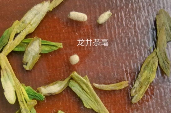 西湖龍井茶毫和發(fā)霉區(qū)別圖片，長霉的龍井茶葉會是什么樣？