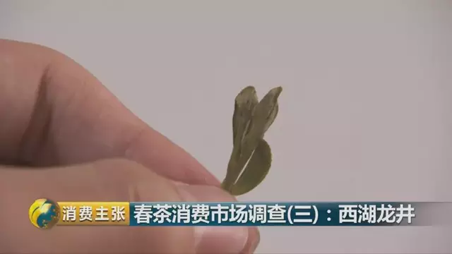 龍井群體種和43號(hào)的區(qū)別圖片，龍井43和群體種哪個(gè)好喝？