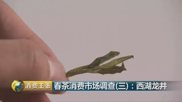 龍井群體種和43號(hào)的區(qū)別圖片，龍井43和群體種哪個(gè)好喝？