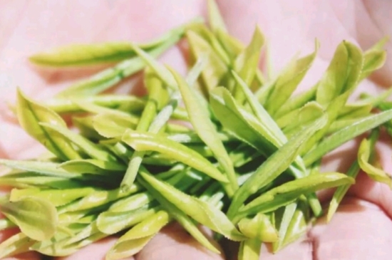 龍井是明前的好還是雨前的好，明前茶和雨前茶哪個(gè)好喝？