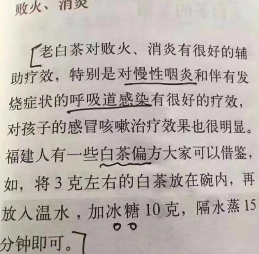 老白茶上火還是去火？夏季喝煮的老白茶會容易上火！