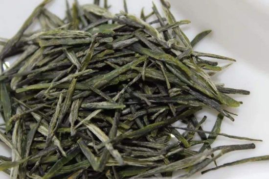 高山云霧茶屬于什么茶，高山云霧茶哪里的最好