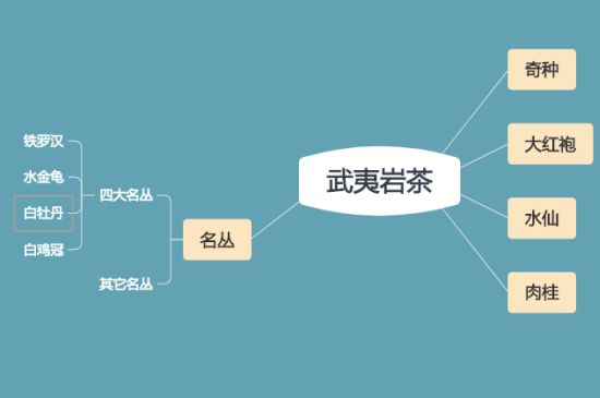 武夷巖茶品種大全，巖茶有幾種？