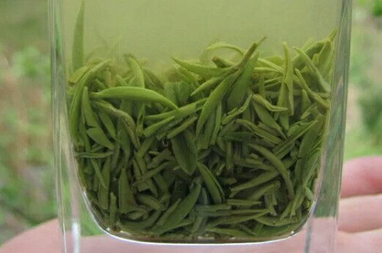 什么綠茶茶葉唇齒留香，哪個品種綠茶香氣好？