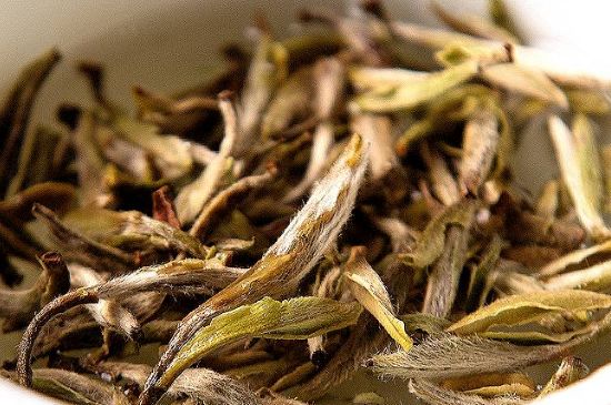 荒野銀針市場價多少，真正的荒野白毫銀針多少錢？