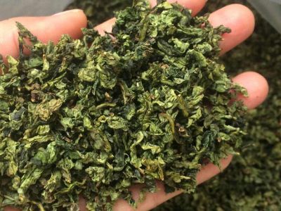 鐵觀音毛茶茶?？梢耘菟葐?，鐵觀音帶梗是不是好茶？