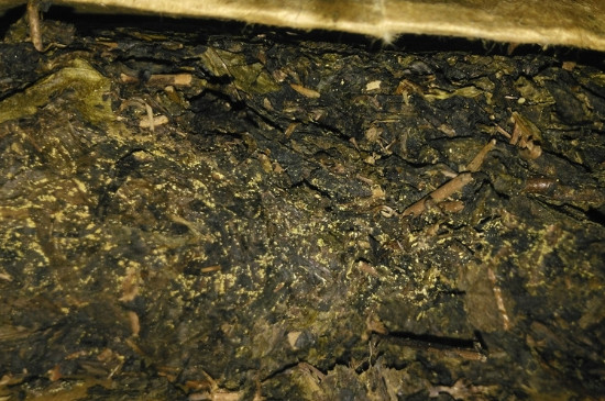 黑茶茯茶保存五大忌，茯茶收藏的注意事項(xiàng)