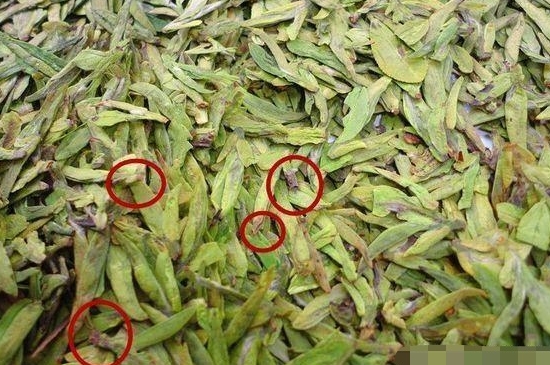 烏牛早和龍井的區(qū)別圖片，龍井43號和烏牛早茶的對比