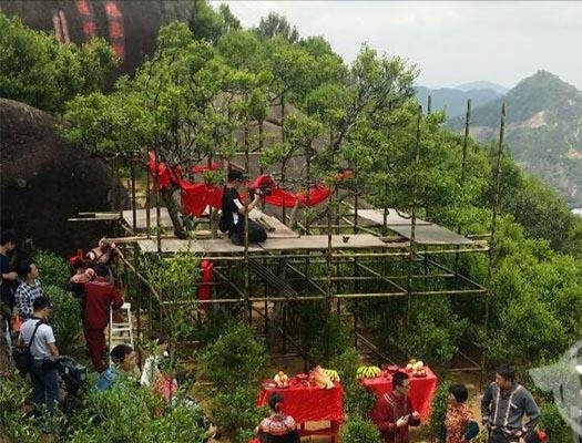 宋種一號價值為什么高，鳳凰單樅宋種1號價格與產(chǎn)量多少？