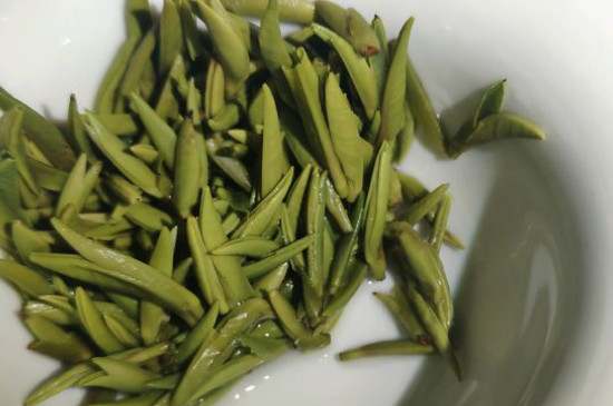竹葉青茶怎么泡，竹葉青如何沖泡