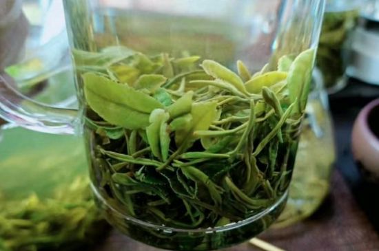 什么綠茶味道濃香，那個綠茶比較濃香？