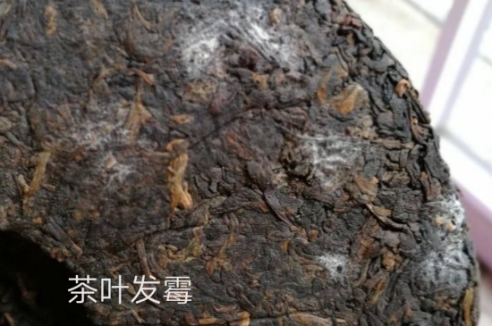 西湖龍井茶毫和發(fā)霉區(qū)別圖片，長霉的龍井茶葉會是什么樣？
